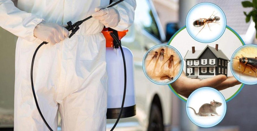 Keçiören Böcek İlaçlama