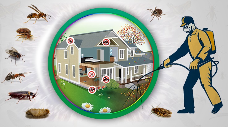 Keçiören Böcek İlaçlama