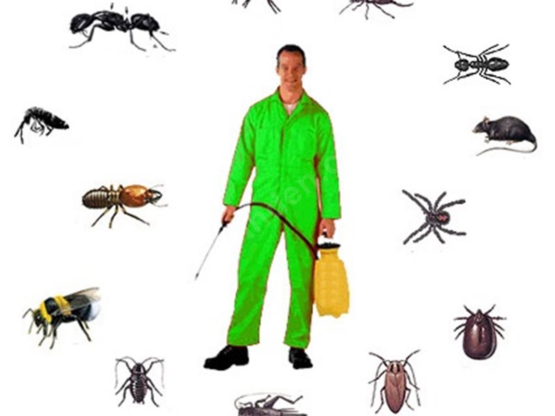 Keçiören Böcek İlaçlama